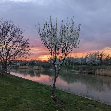 1 Freidorf Apartment Timisoara Bagian luar foto