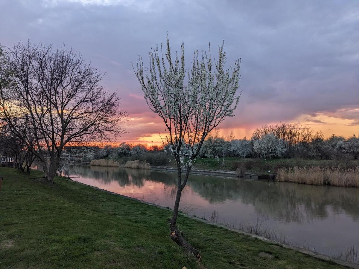1 Freidorf Apartment Timisoara Bagian luar foto