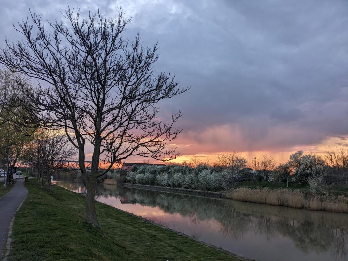 1 Freidorf Apartment Timisoara Bagian luar foto